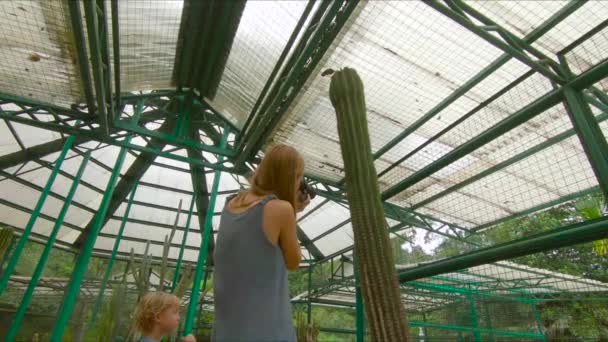 Familie bezoeken de cactussen, cactus zone in een botanische tuin van Pennang, Maleisië — Stockvideo