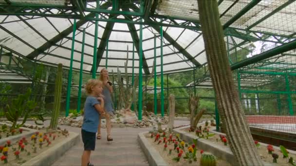 Семья, посещающая кактусы, кактусы в ботаническом саду Пеннанга, Малайзия — стоковое видео