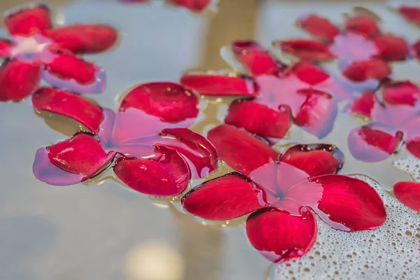 Nahaufnahme Roter Frangipani Blüten Thermalbad — Stockfoto