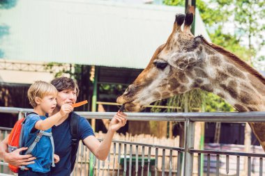 Baba ve oğul izliyor ve hayvanat bahçesinde zürafa besleme. Mutlu bir çocukluk hayvanlar safari park sıcak yaz gününde eğleniyor.