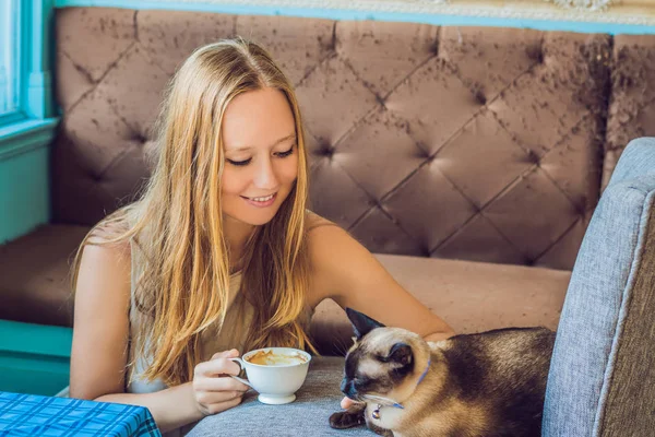 若い女性はコーヒーを飲みながら 猫をなでる — ストック写真