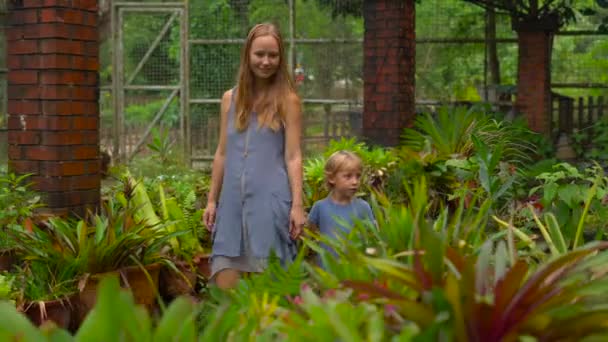 Jovem e seu filho visitando um jardim botânico tropical. secção epífitas — Vídeo de Stock