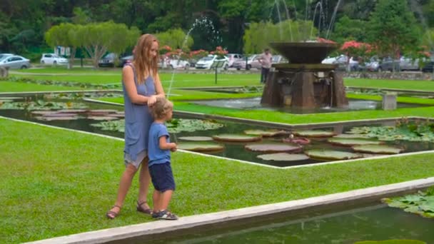Молодая женщина и ее сын смотрят на огромные цветущие водяные лотосы в тропическом парке — стоковое видео