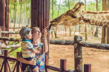Mutlu anne ve oğul hayvanat bahçesinde zürafayı izleyip besliyor. Mutlu bir aile sıcak yaz gününde hayvanlarla safari parkında eğleniyor..
