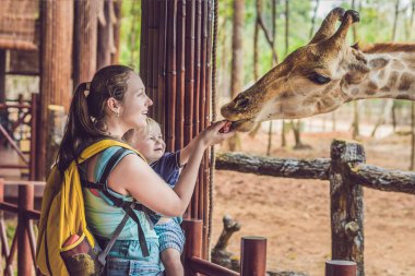 Mutlu anne ve oğul hayvanat bahçesinde zürafayı izleyip besliyor. Mutlu bir aile sıcak yaz gününde hayvanlarla safari parkında eğleniyor..