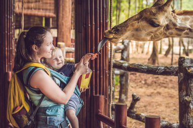 Mutlu anne ve oğul hayvanat bahçesinde zürafayı izleyip besliyor. Mutlu bir aile sıcak yaz gününde hayvanlarla safari parkında eğleniyor..