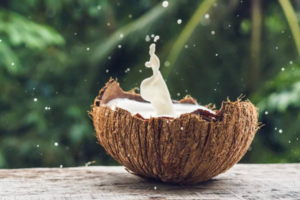 Coconut fruit and milk splash inside on natural background.
