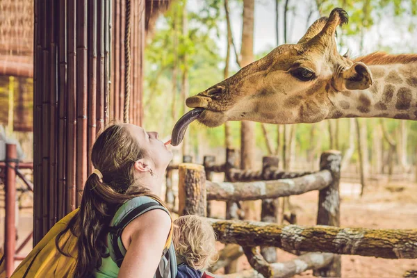 Happy Mother Son Watching Feeding Giraffe Zoo Happy Family Having — Stock Photo, Image