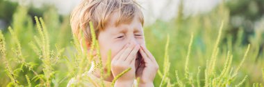 Hapşırma, çocuk ragweed alerji.