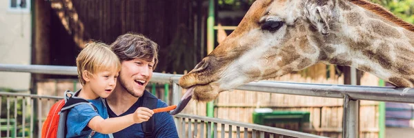 Père Fils Regardent Nourrissent Girafe Zoo Enfant Heureux Amuser Avec — Photo