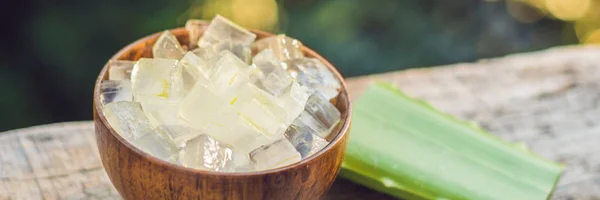 Aloe Vera Dan Aloe Batu Dalam Mangkuk Kayu — Stok Foto