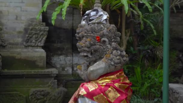 Vista Vicino Della Creatura Pietra Nel Vecchio Giardino Asiatico — Video Stock