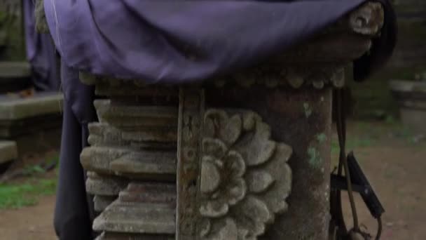 Detailoverzicht Van Ingerichte Stenen Wezens Oude Aziatische Tuin — Stockvideo