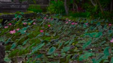 Eski tapınak taş yeşil bahçesinde yol.