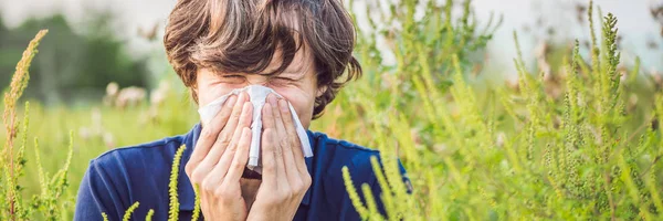 Young man sneezes because of an allergy to ragweed BANNER, long format — Stock Photo, Image