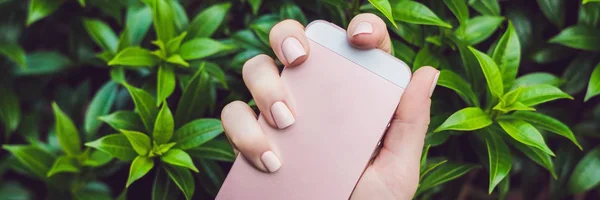 Hands Pink Nails Hold Pink Phone Banner Long Format — Stock Photo, Image