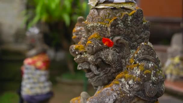 Puri Saren Királyi Palota Ubud Slowmotion Steadicamnél Lövés Bali — Stock videók