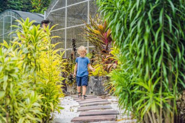 Çocuk tropikal bir parkta bir yolda yürüyor