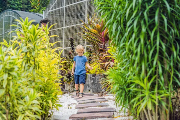 Çocuk tropikal bir parkta bir yolda yürüyor