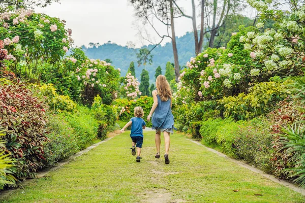 Moeder Zoon Lopen Rond Bloeiende Tuin Gelukkige Familie Levensstijl Concept — Stockfoto