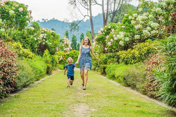 Mom Son Running Blooming Garden Happy Family Life Style Concept — Stock Photo, Image