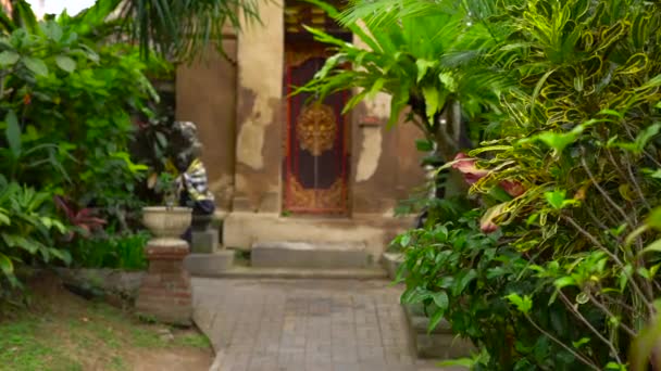 巴厘岛替身 Saren 皇宫装饰门和绿色植物的拍摄 — 图库视频影像