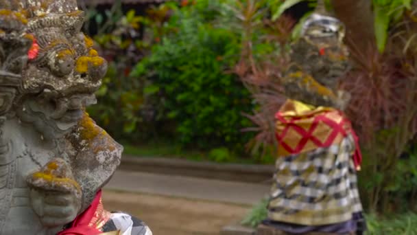 Estatuas Decoradas Cerca Entrada Palacio Real Puri Saren Ubud Bali — Vídeo de stock