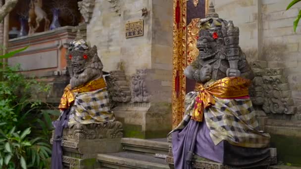 Steadicam Slowmotion Strzał Pałacu Królewskiego Puri Saren Ubud Bali — Wideo stockowe