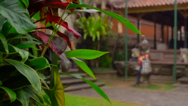 Slowmotion steadicam skott Puri Saren Royal Palace, Ubud. Bali — Stockvideo