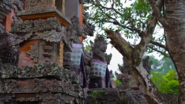 Steadicam Pura Taman Saraswati Tapınağı, Ubud bir kadeh. Bali