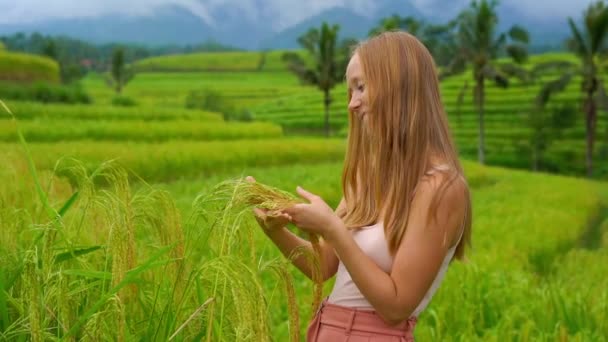 年轻美丽的红发妇女站在绿色的领域和手中的绿色小麦植物 — 图库视频影像