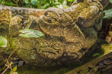 Kutsal maymun orman heykelinin, gündüz, Ubud, Endonezya Bali