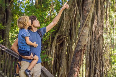 Baba ve oğul yolcuları maymun orman, Bali Endonezya Ubud ormanda keşfetmek. Çocuk kavramı ile seyahat.
