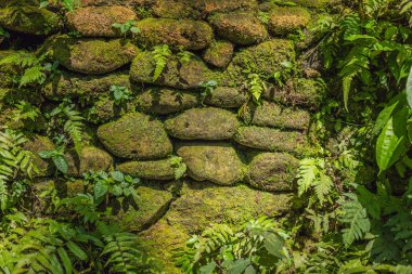 eski taş ve yosun Bali tarzı doku.