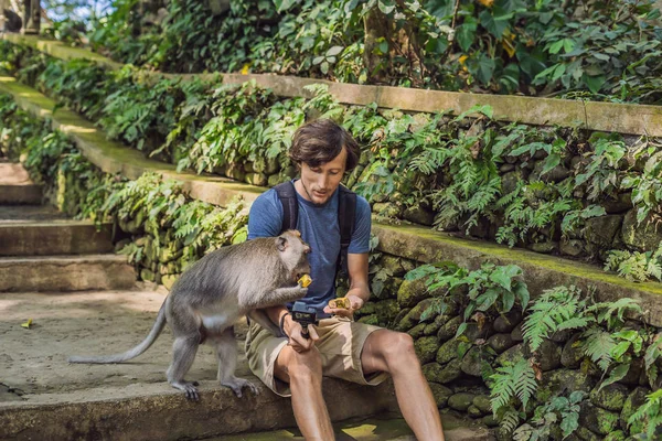 Selfie Com Macacos Jovem Usa Uma Vara Selfie Para Tirar — Fotografia de Stock