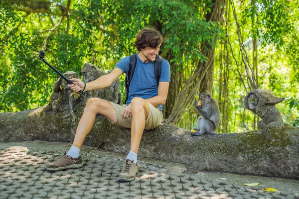 自拍猴子 年轻人用自拍棍子拿一张相片或录影博客与逗人喜爱的滑稽的猴子 在巴厘岛与野生动物自拍旅行 — 图库照片
