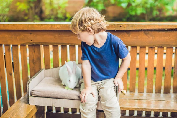 Menino Criança Acaricia Brincando Com Coelho Zoológico Conceito Sustentabilidade Amor — Fotografia de Stock