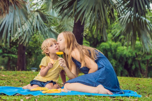 Anne ve oğlu parkta piknik vardı. Sağlıklı meyve - mango, ananas ve kavun yemek. Çocuk sağlıklı yemek yemek.