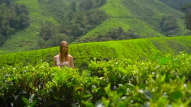 Slowmotion atış highlands çay tarlaları ziyaret genç bir kadın. Taze, çay kavramı