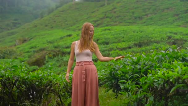 Fotografía en cámara lenta de una joven visitando una plantación de té en las tierras altas. Concepto de té fresco — Vídeos de Stock