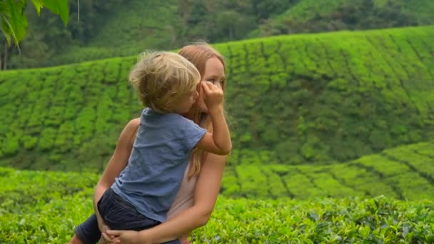 Fotografía en cámara lenta de una joven y su hijo visitando una plantación de té en las tierras altas. Concepto de té fresco — Vídeo de stock