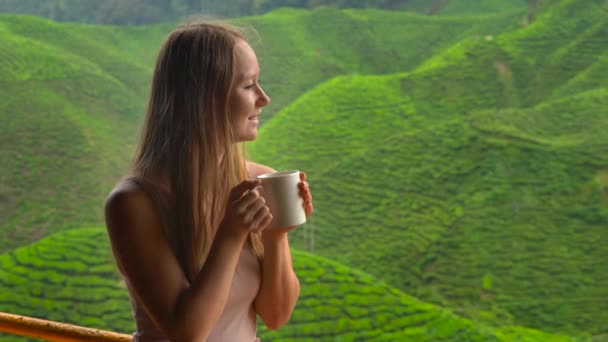 Young woman sitting in a cafe with a view on highlands tea plantattions and drinking tea. — Stock Video