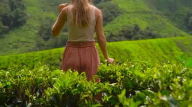 Genç kadın ve oğlu highlands çay tarlaları ziyaret etti. Taze, çay kavramı