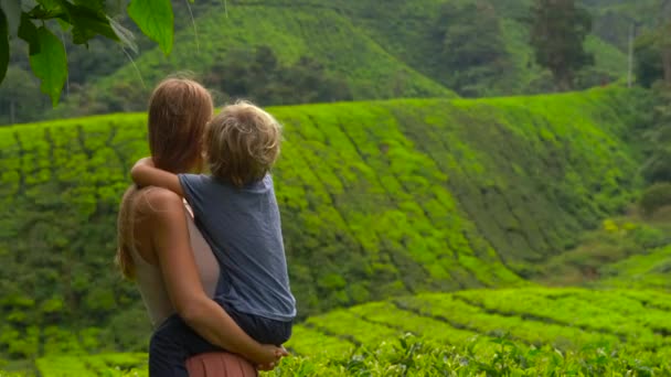 Ung kvinna och hennes son besöker en högländerna teplantager. Färska, te koncept — Stockvideo