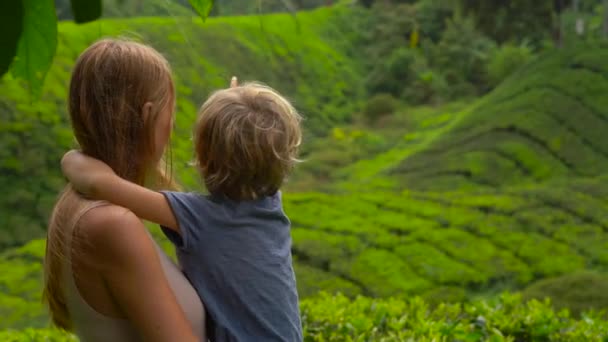 若い女性と彼女の息子は、高地の茶畑を訪問します。新鮮な紅茶の概念 — ストック動画