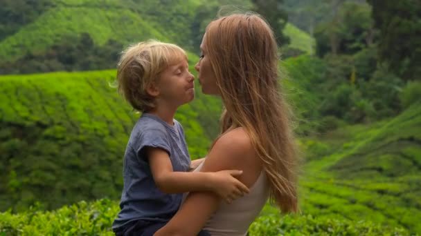 Mujer joven y su hijo visitando una plantación de té de las tierras altas. Concepto de té fresco — Vídeo de stock