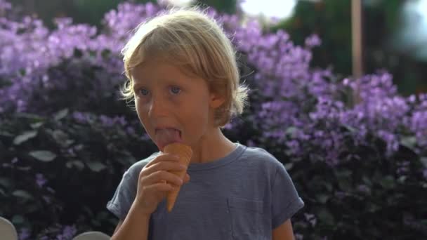 Niño pequeño en una granja de lavanda comiendo un helado hecho de lavanda — Vídeo de stock