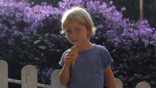 Menino em uma fazenda de lavanda comendo um sorvete feito de lavanda — Vídeo de Stock