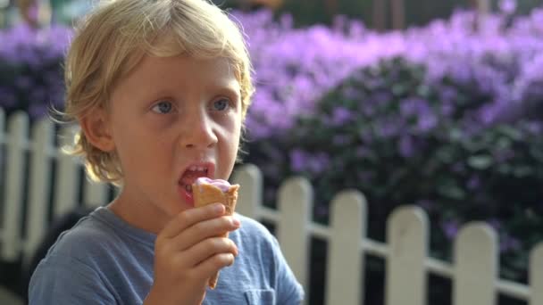 Niño pequeño en una granja de lavanda comiendo un helado hecho de lavanda — Vídeo de stock