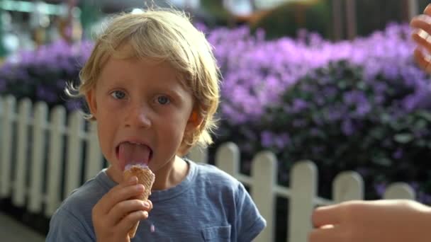 Niño pequeño en una granja de lavanda comiendo un helado hecho de lavanda — Vídeo de stock